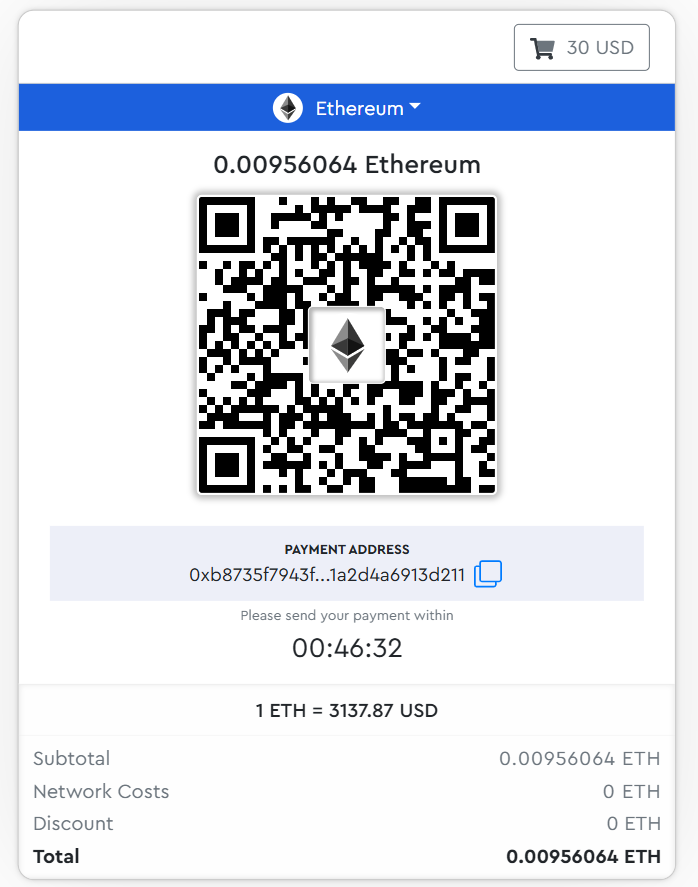 Invoice Payment
